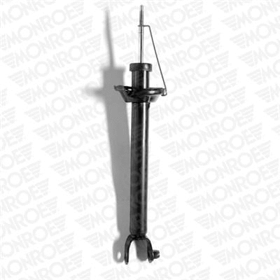 Shock Absorber (23889)