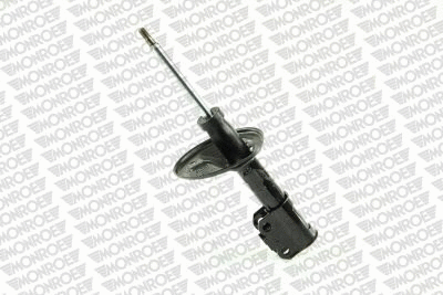 Shock Absorber (16821)