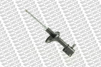 Shock Absorber (R11070)