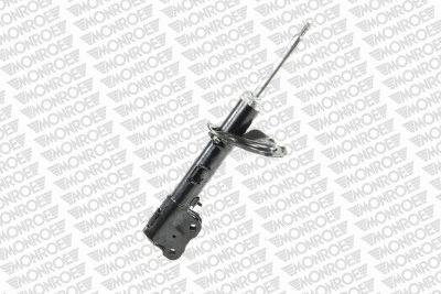Shock Absorber (72437ST)