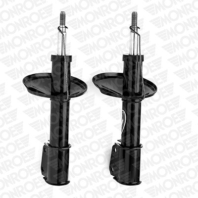 Shock Absorber (E4399)