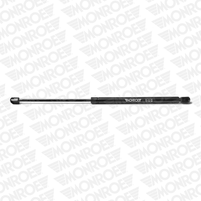 Gas Spring, boot/cargo area