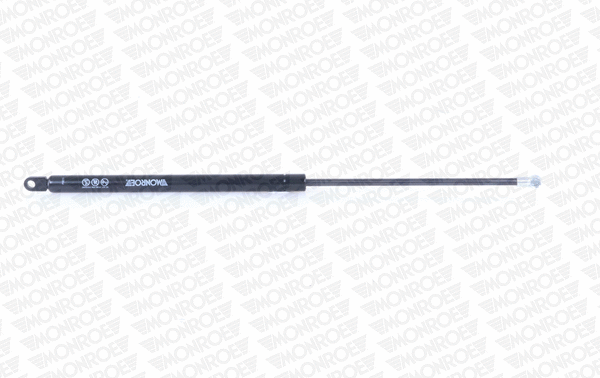 Gas Spring, boot/cargo area