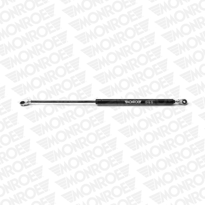 Gas Spring, boot/cargo area