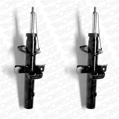 Shock Absorber (E4972)