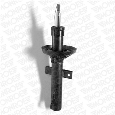Shock Absorber (G16209)