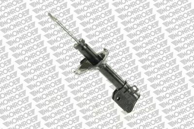 Shock Absorber (16484)