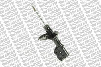 Shock Absorber (G16691)