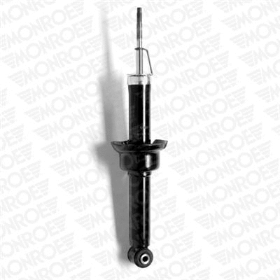 Shock Absorber (23748)