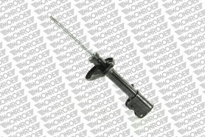 Shock Absorber (G16217)