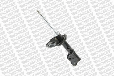 Shock Absorber (72306ST)