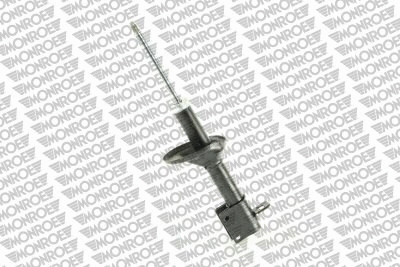 Shock Absorber (R11069)