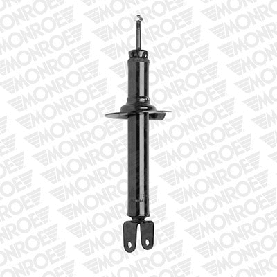 Shock Absorber (72563ST)