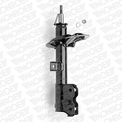 Shock Absorber (72267ST)