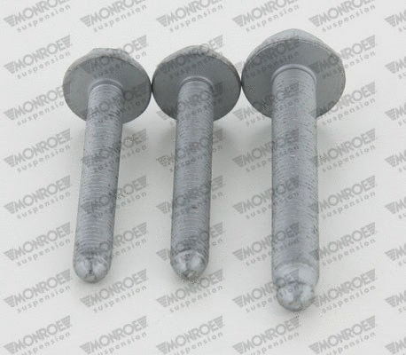Mounting and Bolting Kit, control/trailing arm (L29C15)