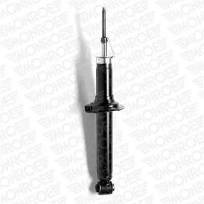 Shock Absorber (23784)