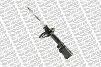 Shock Absorber (G16663)
