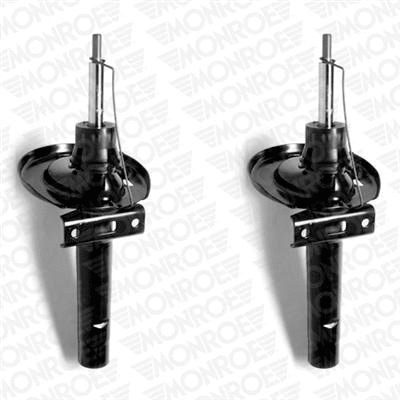 Shock Absorber (E4562)