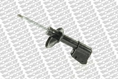 Shock Absorber (16795)