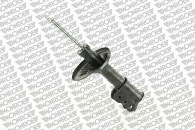 Shock Absorber (11739)