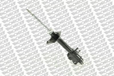 Shock Absorber (16197)