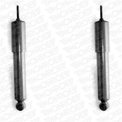 Shock Absorber (D5464)
