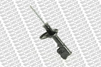 Shock Absorber (16734)
