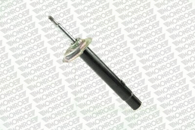Shock Absorber (E4981)