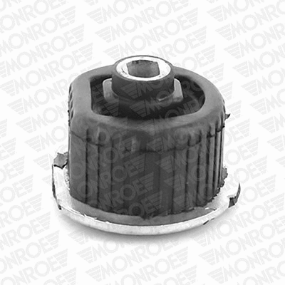 Bushing, axle beam (L23893)
