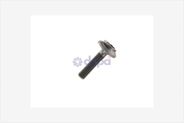 Axle Nut, drive shaft (VI006)