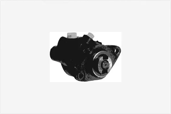 Hydraulic Pump, steering (PA605)