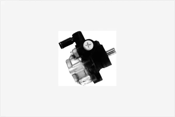 Hydraulic Pump, steering (PA1509)