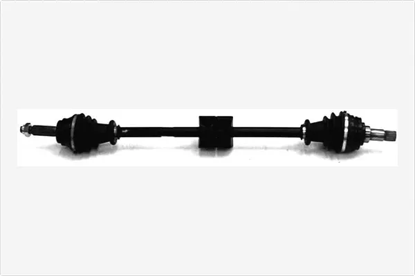 Drive Shaft (3250800)