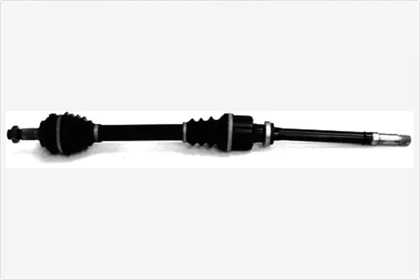Drive Shaft (3066300)