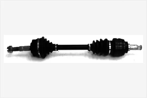 Drive Shaft (3334953)