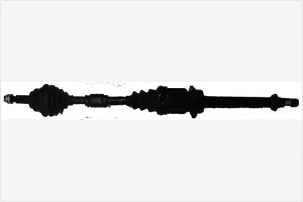 Drive Shaft (3484900)