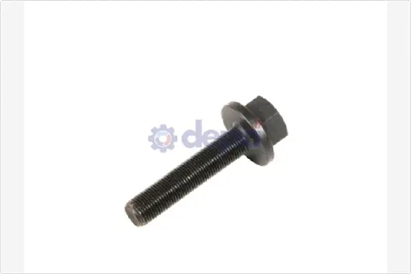 Axle Nut, drive shaft (VI003)