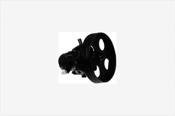 Hydraulic Pump, steering (PA122)