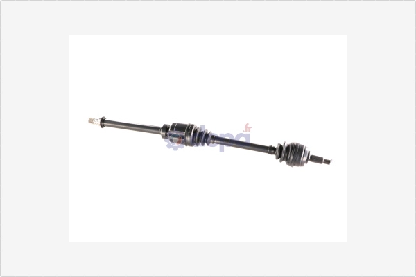 Drive Shaft (3601360)