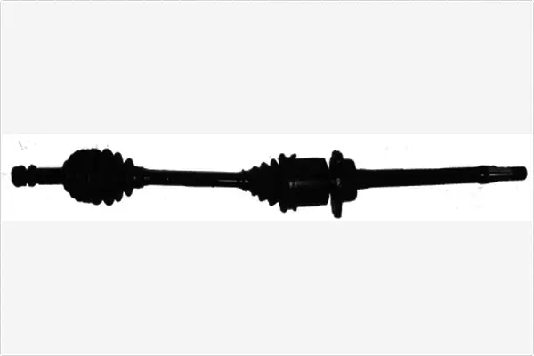 Drive Shaft (3482800)