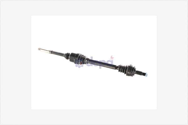 Drive Shaft (3181800)