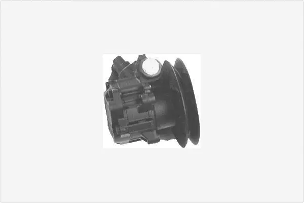 Hydraulic Pump, steering (PA1135)