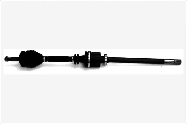 Drive Shaft (3025925)