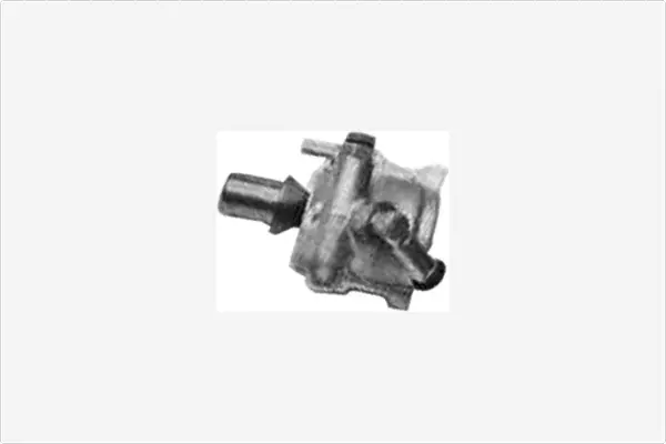 Hydraulic Pump, steering (PA602)