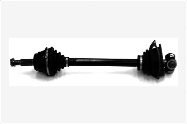 Drive Shaft (3025455)