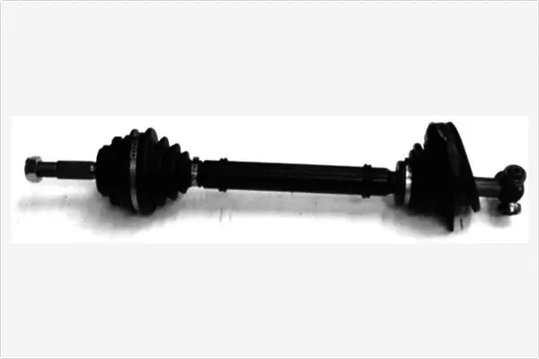 Drive Shaft (3200754)