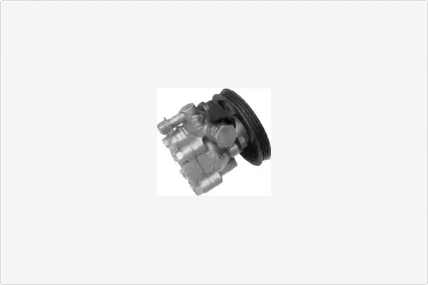 Hydraulic Pump, steering (PA1112)