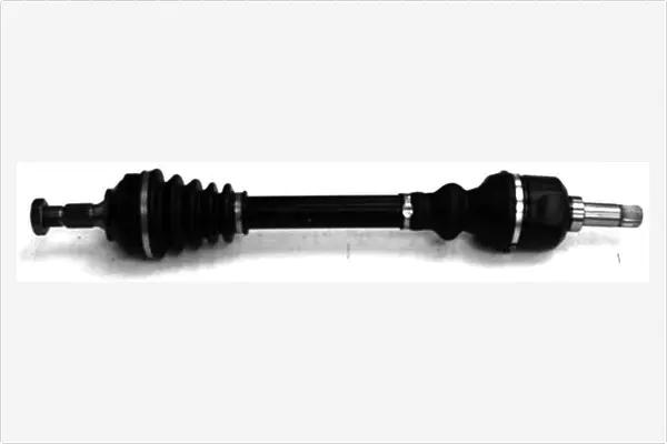 Drive Shaft (3189150)
