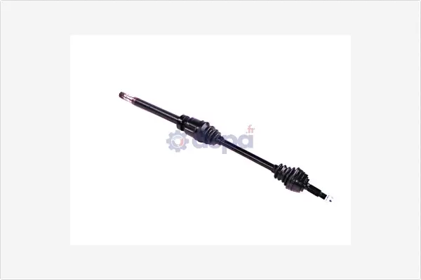 Drive Shaft (3103200)
