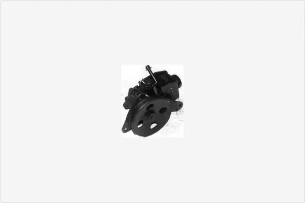Hydraulic Pump, steering (PA1612)